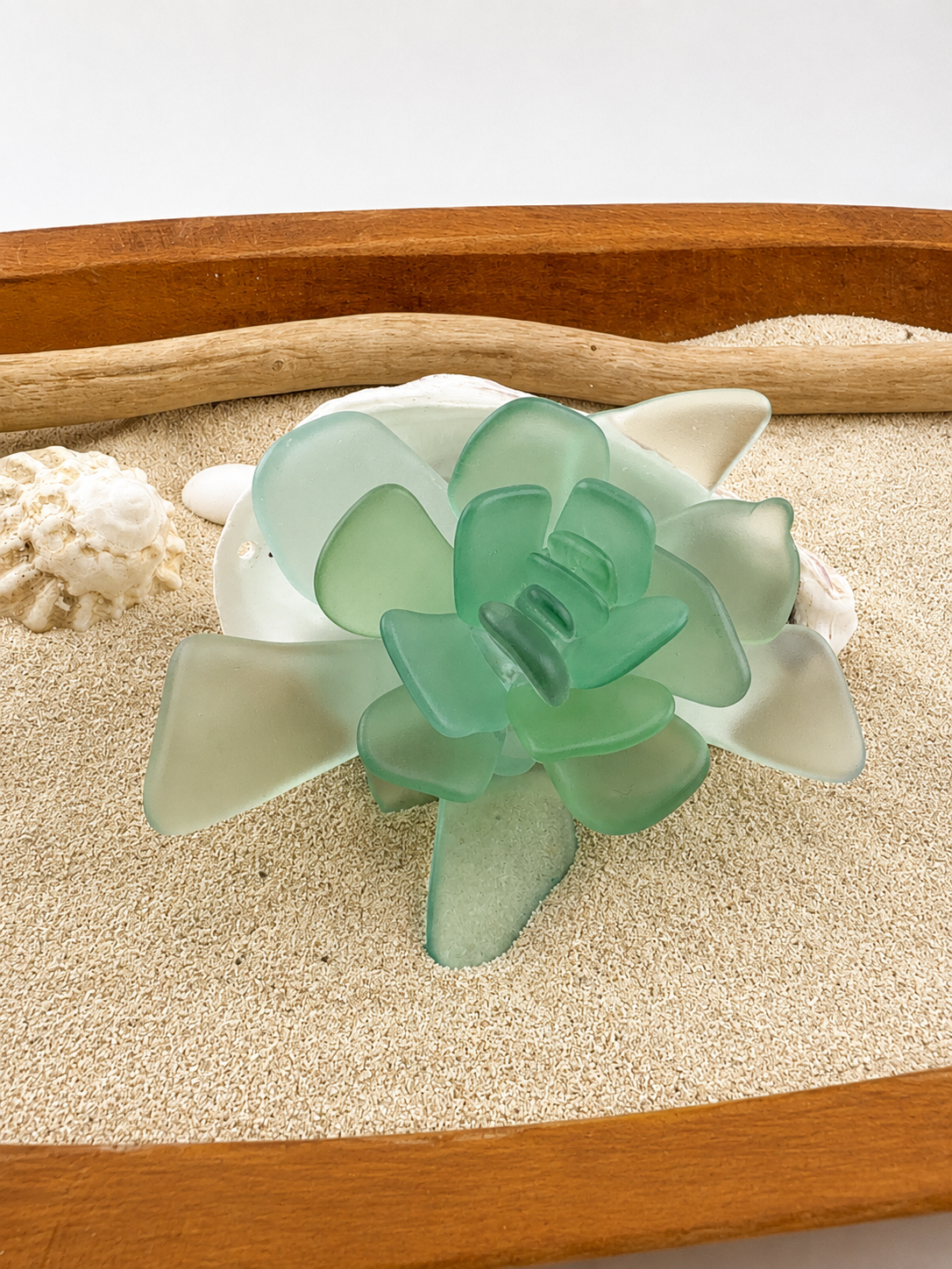Sea Glass Succulent Art, Seacculent™ Coastal Decor, Rare Color Sea Glass, Seashell Art, The Seafoam Five 2026