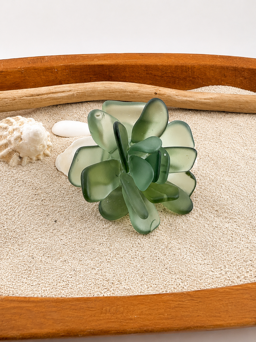 Sea Glass Succulent Art, Seacculent™ Coastal Decor, Rare Color Sea Glass, Seashell Art, The Seafoam Five 2026