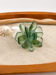 Sea Glass Succulent Art, Seacculent™ Coastal Decor, Rare Color Sea Glass, Seashell Art, The Seafoam Five 2026