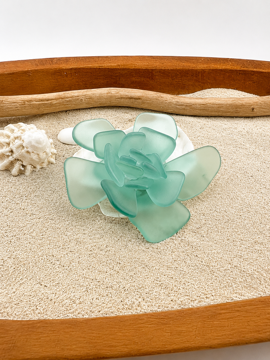 Sea Glass Succulent Art, Seacculent™ Coastal Decor, Rare Color Sea Glass, Seashell Art, The Seafoam Five 2026