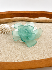 Sea Glass Succulent Art, Seacculent™ Coastal Decor, Rare Color Sea Glass, Seashell Art, The Seafoam Five 2026
