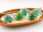 Sea Glass Succulent Art, Seacculent™ Coastal Decor, Rare Color Sea Glass, Seashell Art, The Seafoam Five 2026