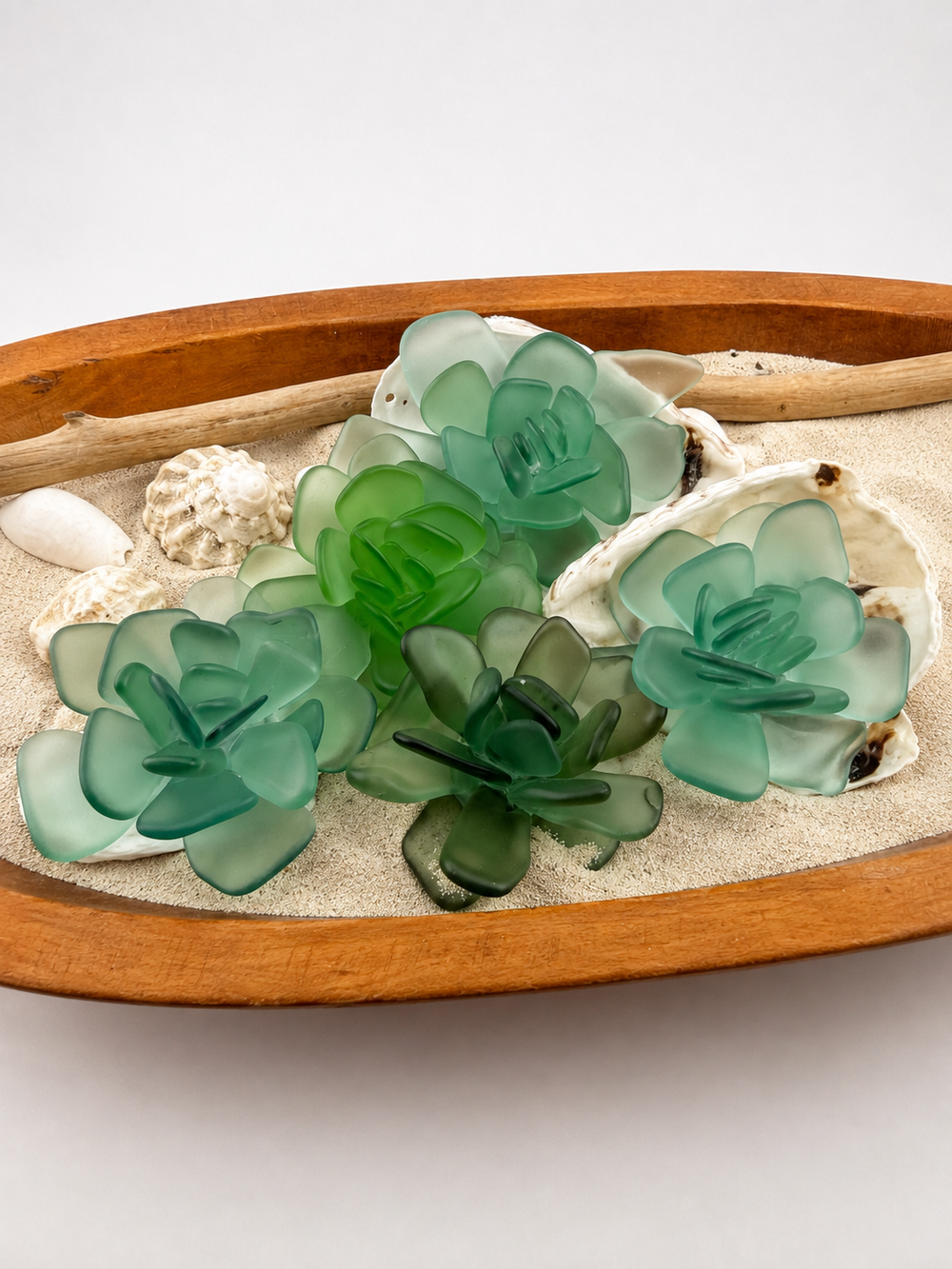 Sea Glass Succulent Art, Seacculent™ Coastal Decor, Rare Color Sea Glass, Seashell Art, The Seafoam Five 2026