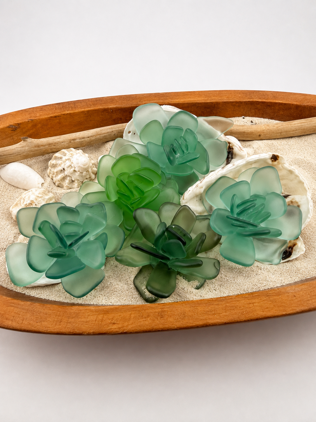 Sea Glass Succulent Art, Seacculent™ Coastal Decor, Rare Color Sea Glass, Seashell Art, The Seafoam Five 2026