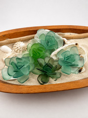 Sea Glass Succulent Art, Seacculent™ Coastal Decor, Rare Color Sea Glass, Seashell Art, The Seafoam Five 2026