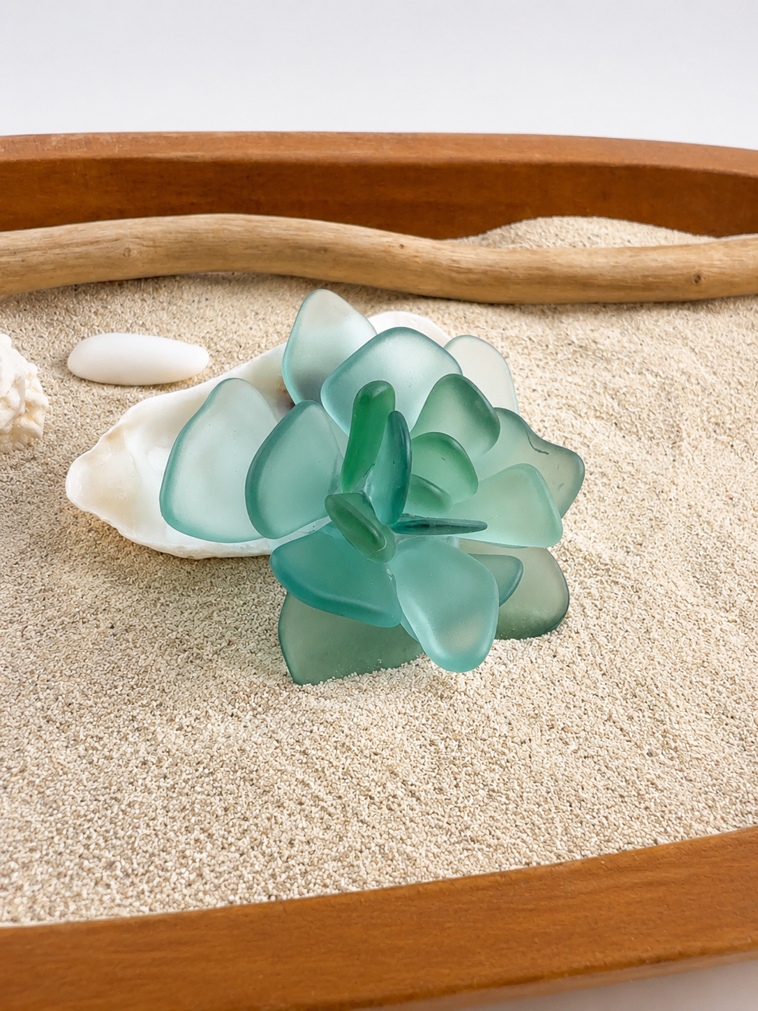 Sea Glass Succulent Art, Seacculent™ Coastal Decor, Rare Color Sea Glass, Seashell Art, The Seafoam Five 2026