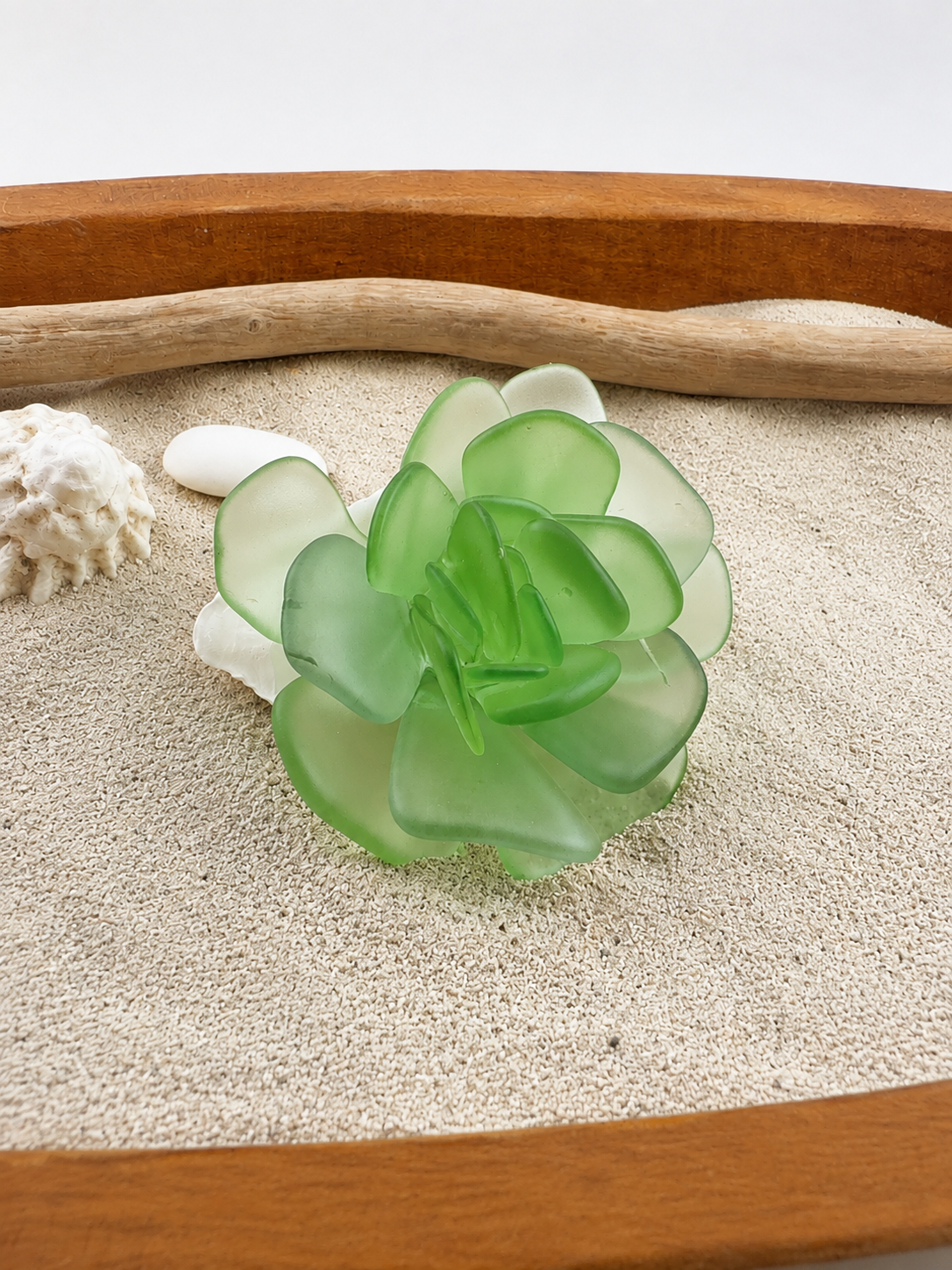 Sea Glass Succulent Art, Seacculent™ Coastal Decor, Rare Color Sea Glass, Seashell Art, The Seafoam Five 2026