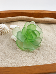 Sea Glass Succulent Art, Seacculent™ Coastal Decor, Rare Color Sea Glass, Seashell Art, The Seafoam Five 2026