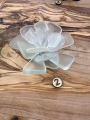 Seacculents™ Authentic Caribbean Sea Glass Succulent in Engraved Wooden Pot | Coastal Desk Decor | Beach House Gift | Saint Martin Sea Glass