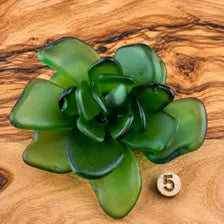 Seacculents™ Authentic Caribbean Sea Glass Succulent in Engraved Wooden Pot | Coastal Desk Decor | Beach House Gift | Saint Martin Sea Glass