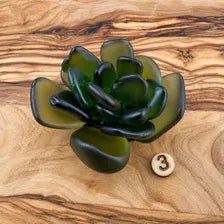 Seacculents™ Authentic Caribbean Sea Glass Succulent in Engraved Wooden Pot | Coastal Desk Decor | Beach House Gift | Saint Martin Sea Glass