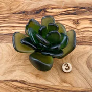 Seacculents™ Authentic Caribbean Sea Glass Succulent in Engraved Wooden Pot | Coastal Desk Decor | Beach House Gift | Saint Martin Sea Glass