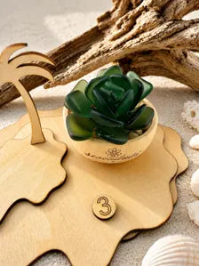 Mini Seacculents™ – Green Coastal Succulent in Engraved Wood Pot, Beach House Decor, Unique Genuine Sea Glass