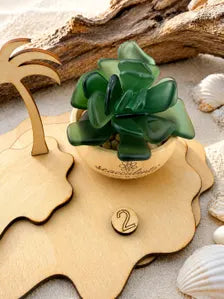 Mini Seacculents™ – Green Coastal Succulent in Engraved Wood Pot, Beach House Decor, Unique Genuine Sea Glass