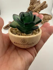 Mini Seacculents™ – Green Coastal Succulent in Engraved Wood Pot, Beach House Decor, Unique Genuine Sea Glass