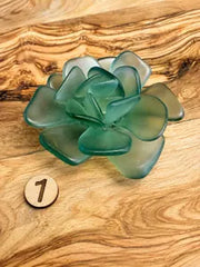 Seacculents™ Authentic Caribbean Sea Glass Succulent in Engraved Wooden Pot | Coastal Desk Decor | Beach House Gift | Saint Martin Sea Glass