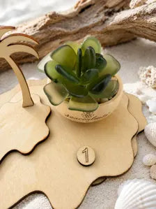Mini Seacculents™ – Green Coastal Succulent in Engraved Wood Pot, Beach House Decor, Unique Genuine Sea Glass