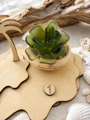 Mini Seacculents™ – Green Coastal Succulent in Engraved Wood Pot, Beach House Decor, Unique Genuine Sea Glass