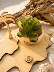 Mini Seacculents™ – Green Coastal Succulent in Engraved Wood Pot, Beach House Decor, Unique Genuine Sea Glass