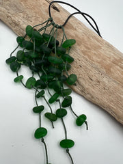 Caribbean Green Sea Glass Goddess Necklace & Earrings Set: Knotted Upcycled Jewelry