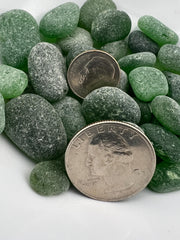 Authentic Caribbean Sea Glass Lots | Green or White Sea Glass | Hand Collected in Saint Martin | Naturally Frosted Beach Glas