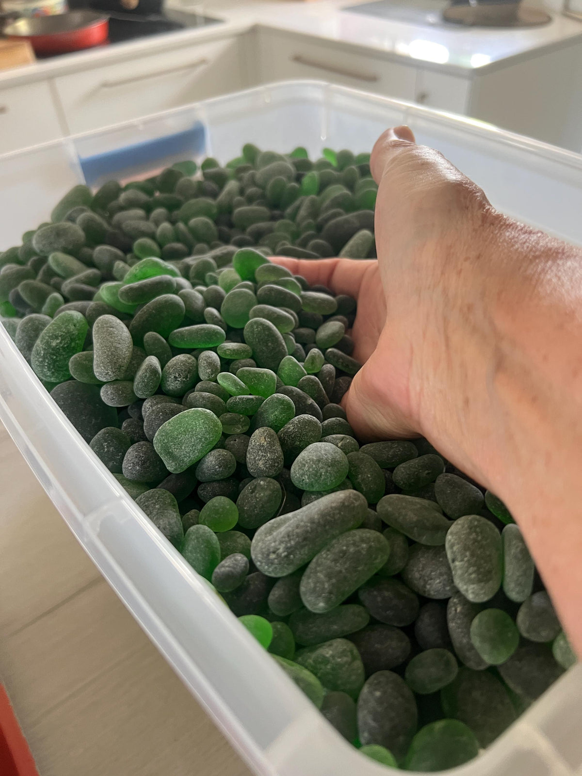 Authentic Caribbean Sea Glass Lots | Green or White Sea Glass | Hand Collected in Saint Martin | Naturally Frosted Beach Glas