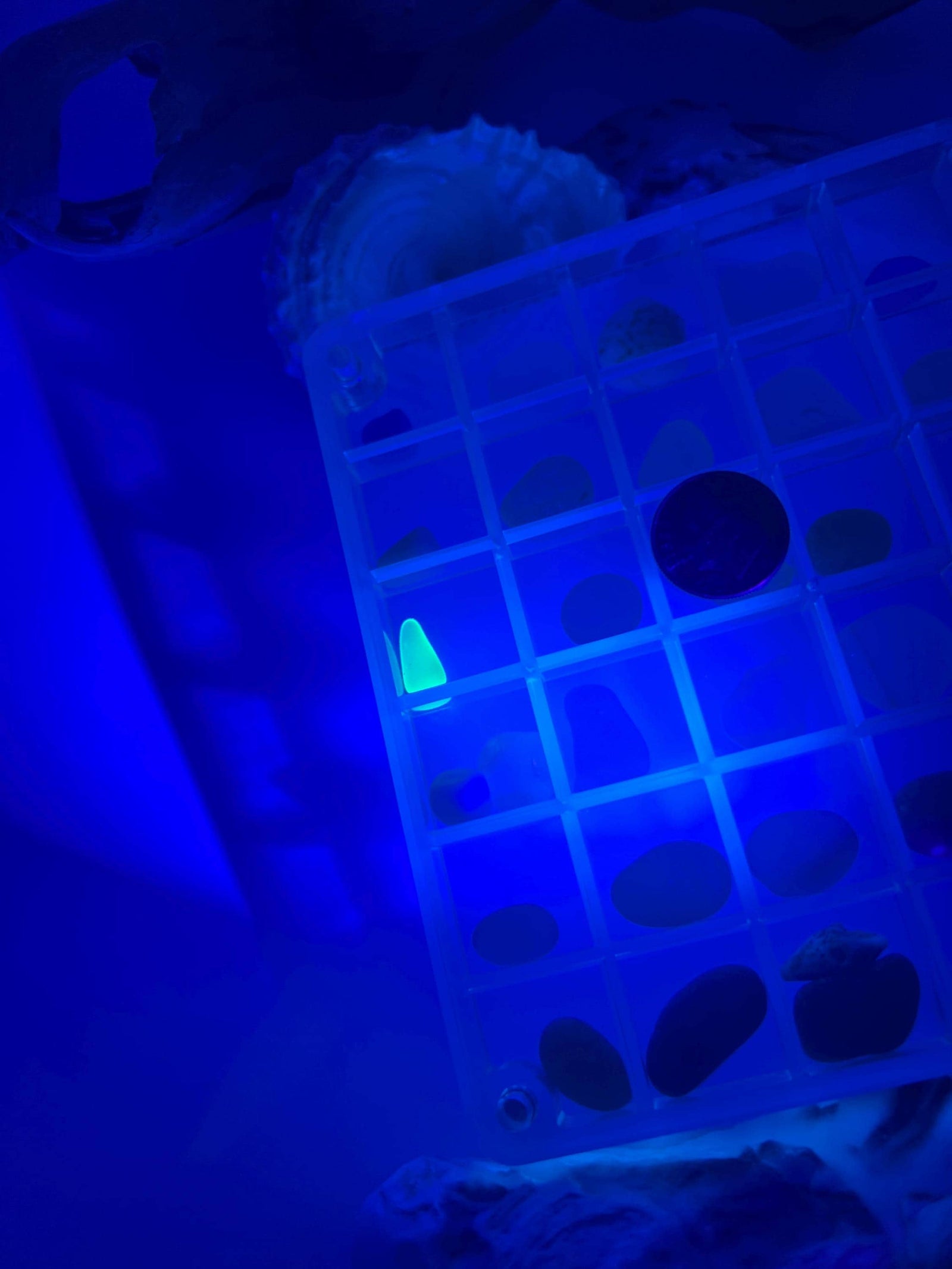DIY Sea Glass Collection Kit: Real Caribbean & Seaham Glass, Mini Shells