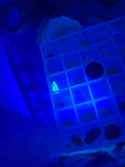 DIY Sea Glass Collection Kit: Real Caribbean & Seaham Glass, Mini Shells