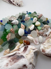 DIY Sea Glass Collection Kit: Real Caribbean & Seaham Glass, Mini Shells