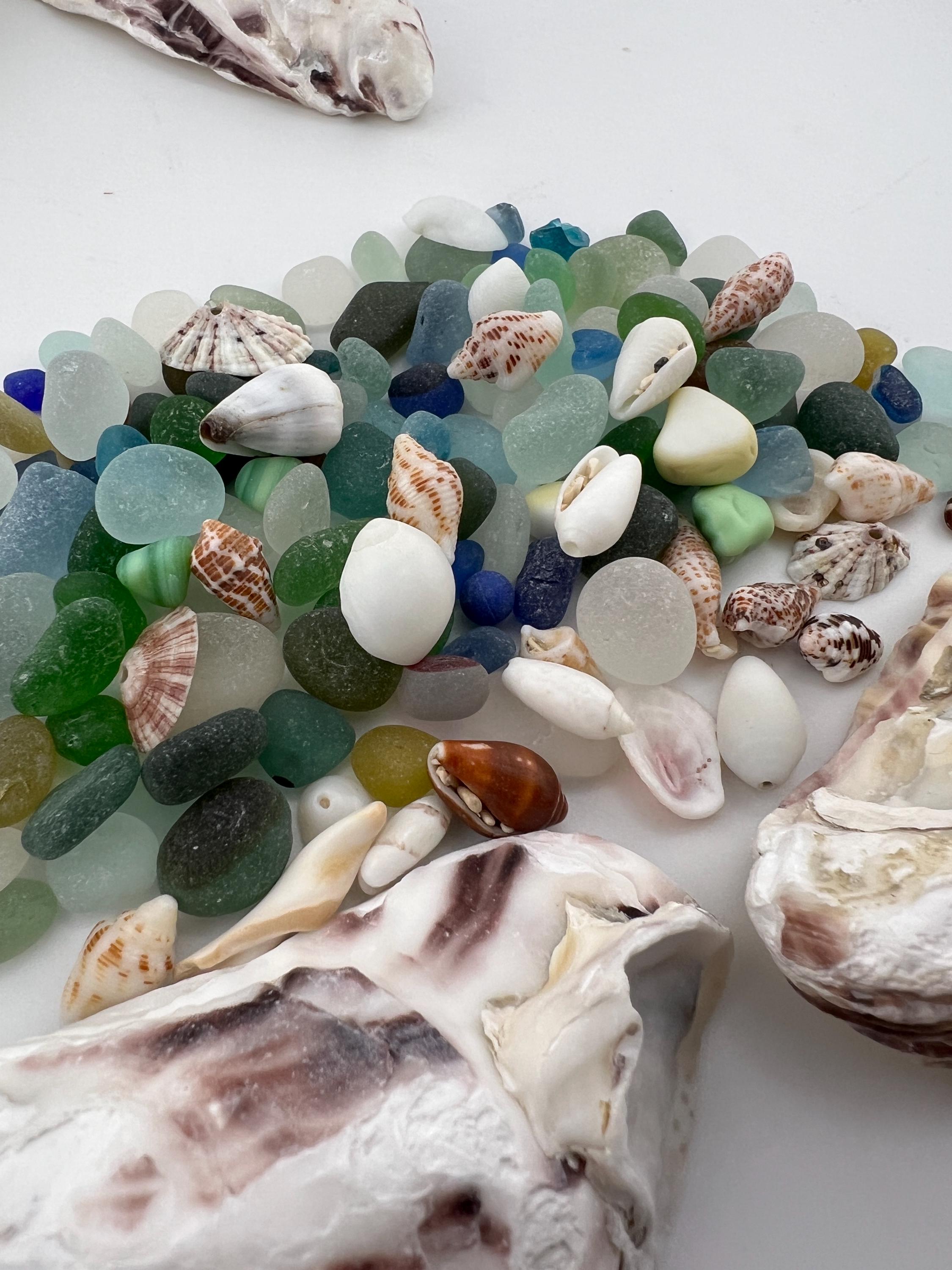 DIY Sea Glass Collection Kit: Real Caribbean & Seaham Glass, Mini Shells