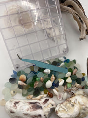 DIY Sea Glass Collection Kit: Real Caribbean & Seaham Glass, Mini Shells