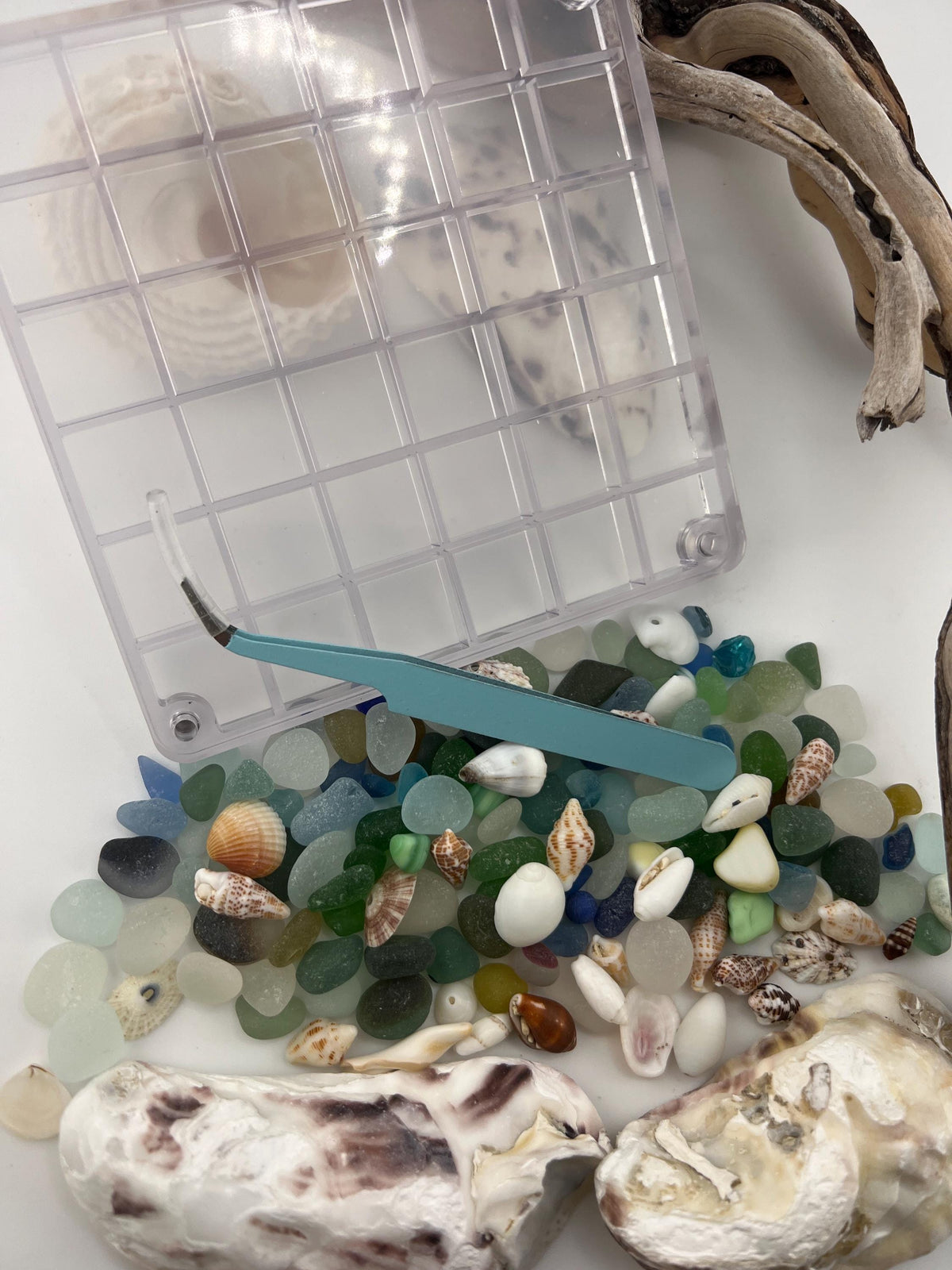 DIY Sea Glass Collection Kit: Real Caribbean & Seaham Glass, Mini Shells