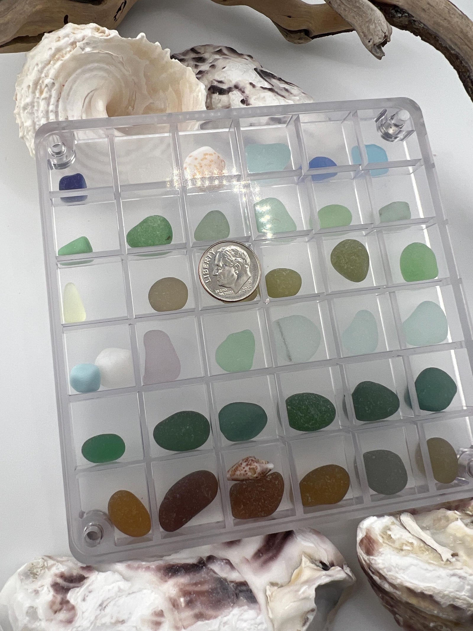 DIY Sea Glass Collection Kit: Real Caribbean & Seaham Glass, Mini Shells