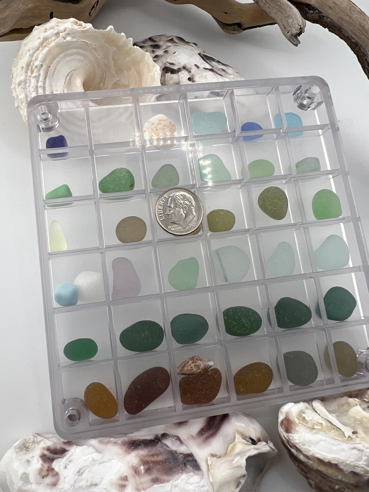 DIY Sea Glass Collection Kit: Real Caribbean & Seaham Glass, Mini Shells