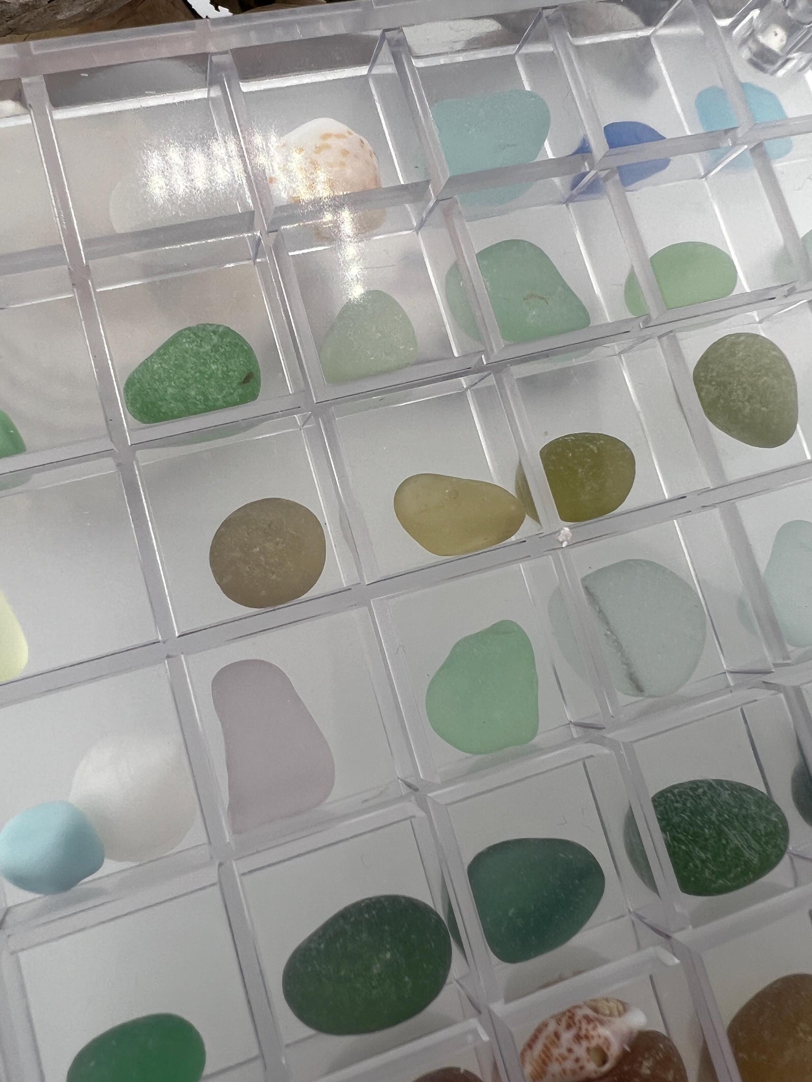 DIY Sea Glass Collection Kit: Real Caribbean & Seaham Glass, Mini Shells