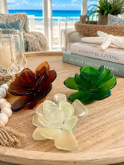 Seacculents™ Authentic Caribbean Sea Glass Succulent in Engraved Wooden Pot | Coastal Desk Decor | Beach House Gift | Saint M