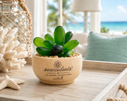 Seacculents™ Authentic Caribbean Sea Glass Succulent in Engraved Wooden Pot | Coastal Desk Decor | Beach House Gift | Genuine