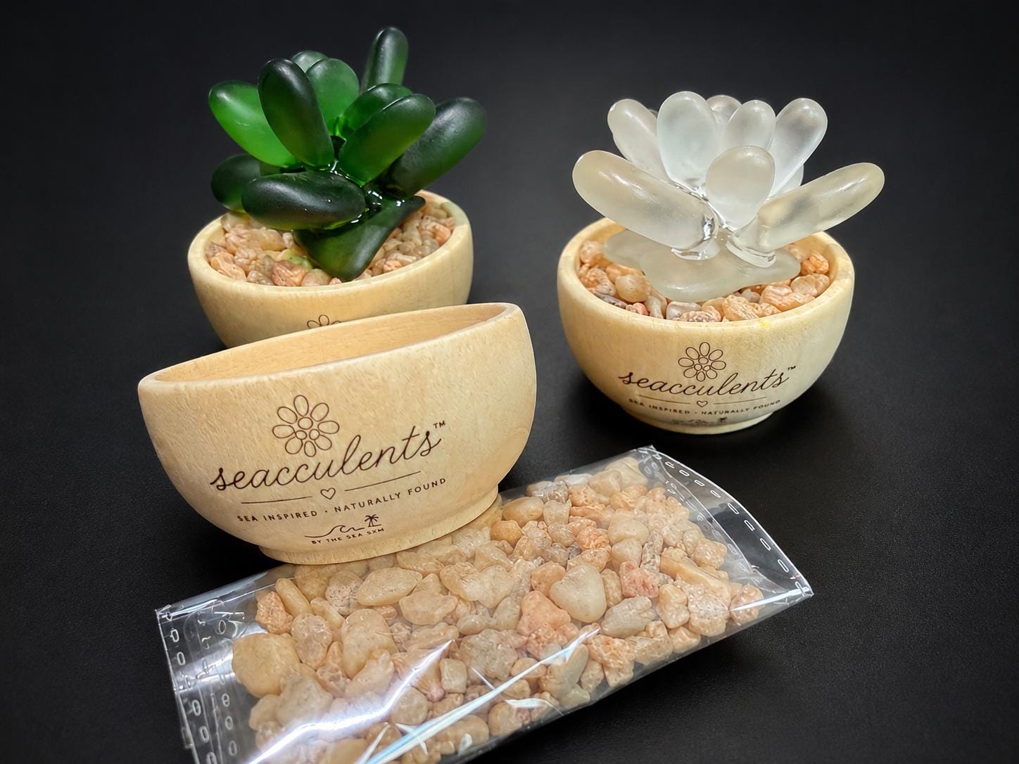 Seacculents™ Authentic Caribbean Sea Glass Succulent in Engraved Wooden Pot | Coastal Desk Decor | Beach House Gift | Genuine