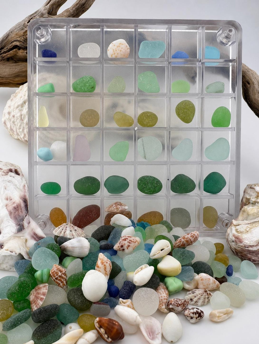 DIY Sea Glass Collection Kit: Real Caribbean & Seaham Glass, Mini Shells