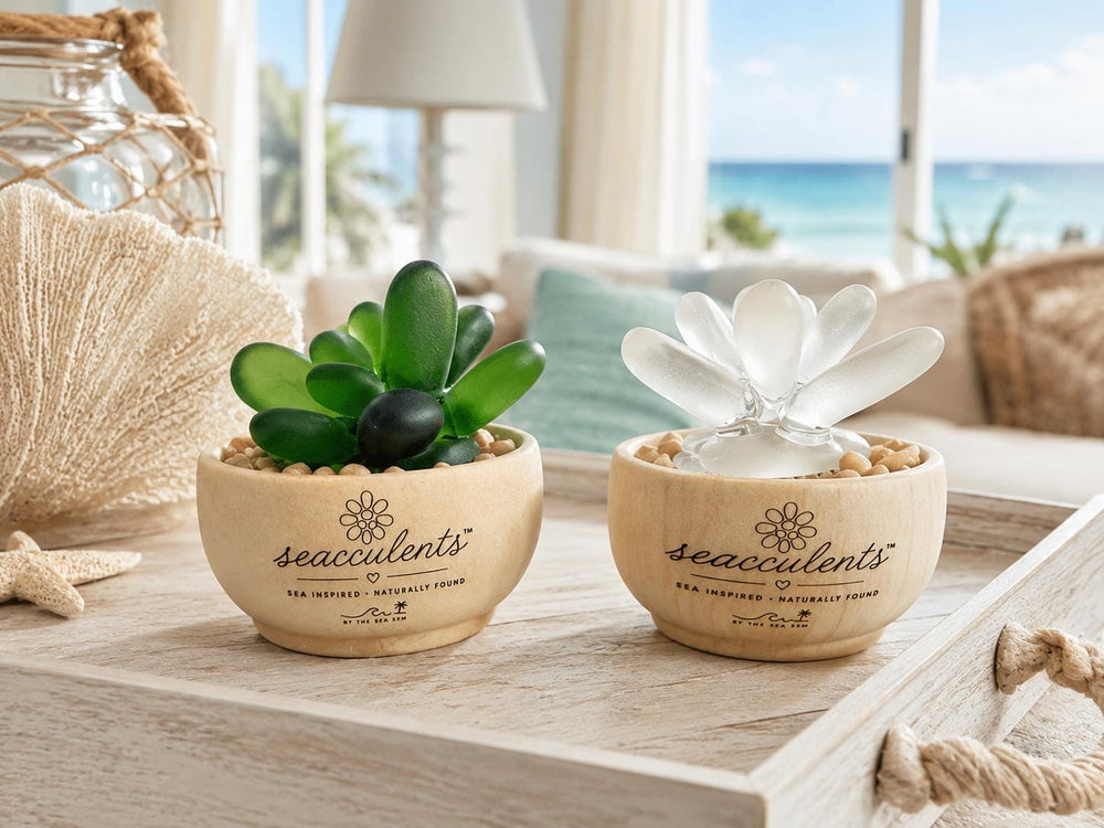 Seacculents™ Authentic Caribbean Sea Glass Succulent in Engraved Wooden Pot | Coastal Desk Decor | Beach House Gift | Genuine