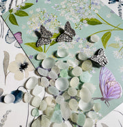 Sea Glass Art: Dandelion « Make a Wish », Butterfly - Framed Personalized Unique Friendship Birthday Gift