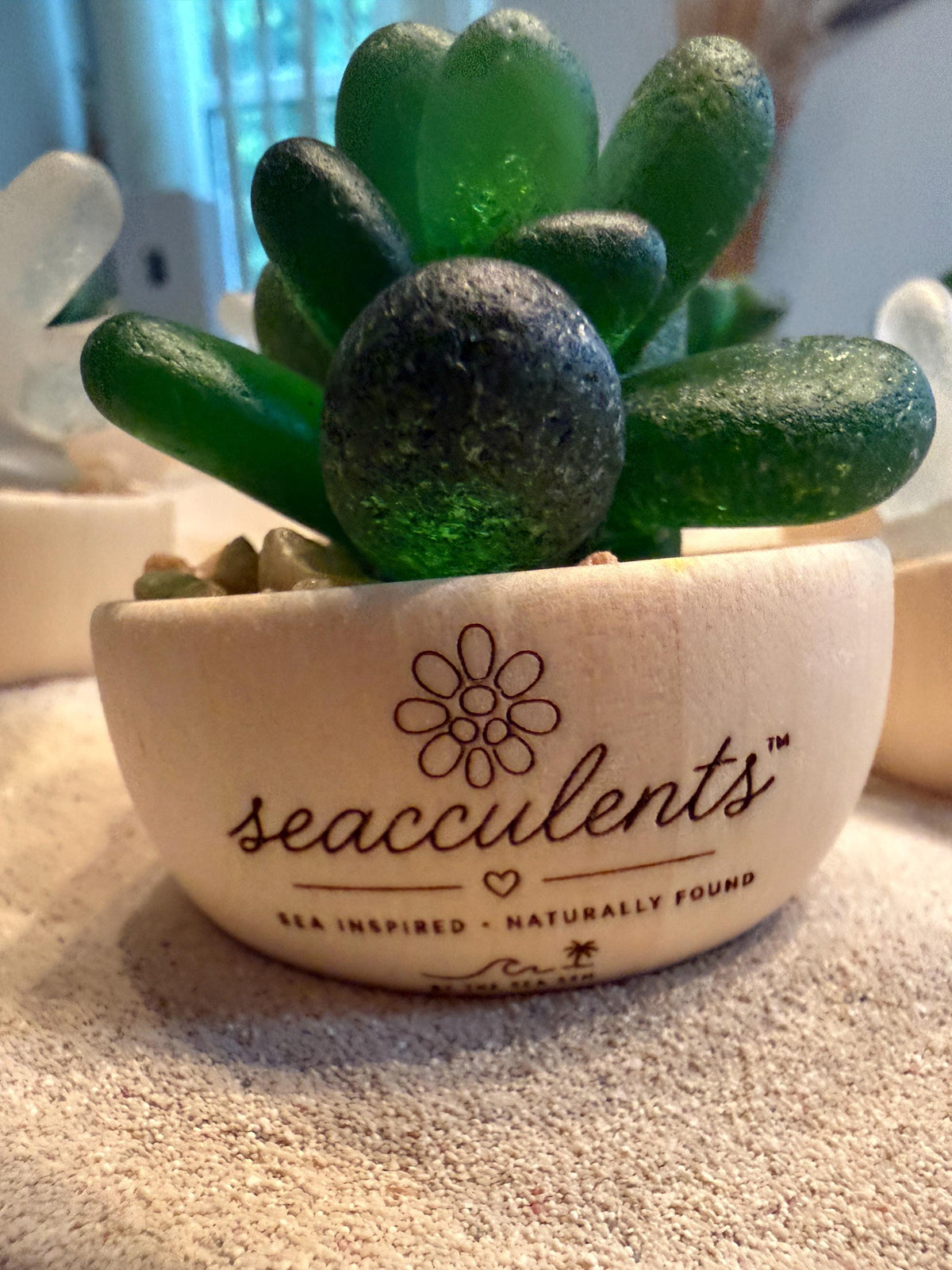 Seacculents™ Authentic Caribbean Sea Glass Succulent in Engraved Wooden Pot | Coastal Desk Decor | Beach House Gift | Genuine