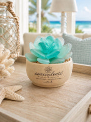 Seacculents™ Authentic Caribbean Sea Glass Succulent in Engraved Wooden Pot | Coastal Desk Decor | Beach House Gift | Saint M