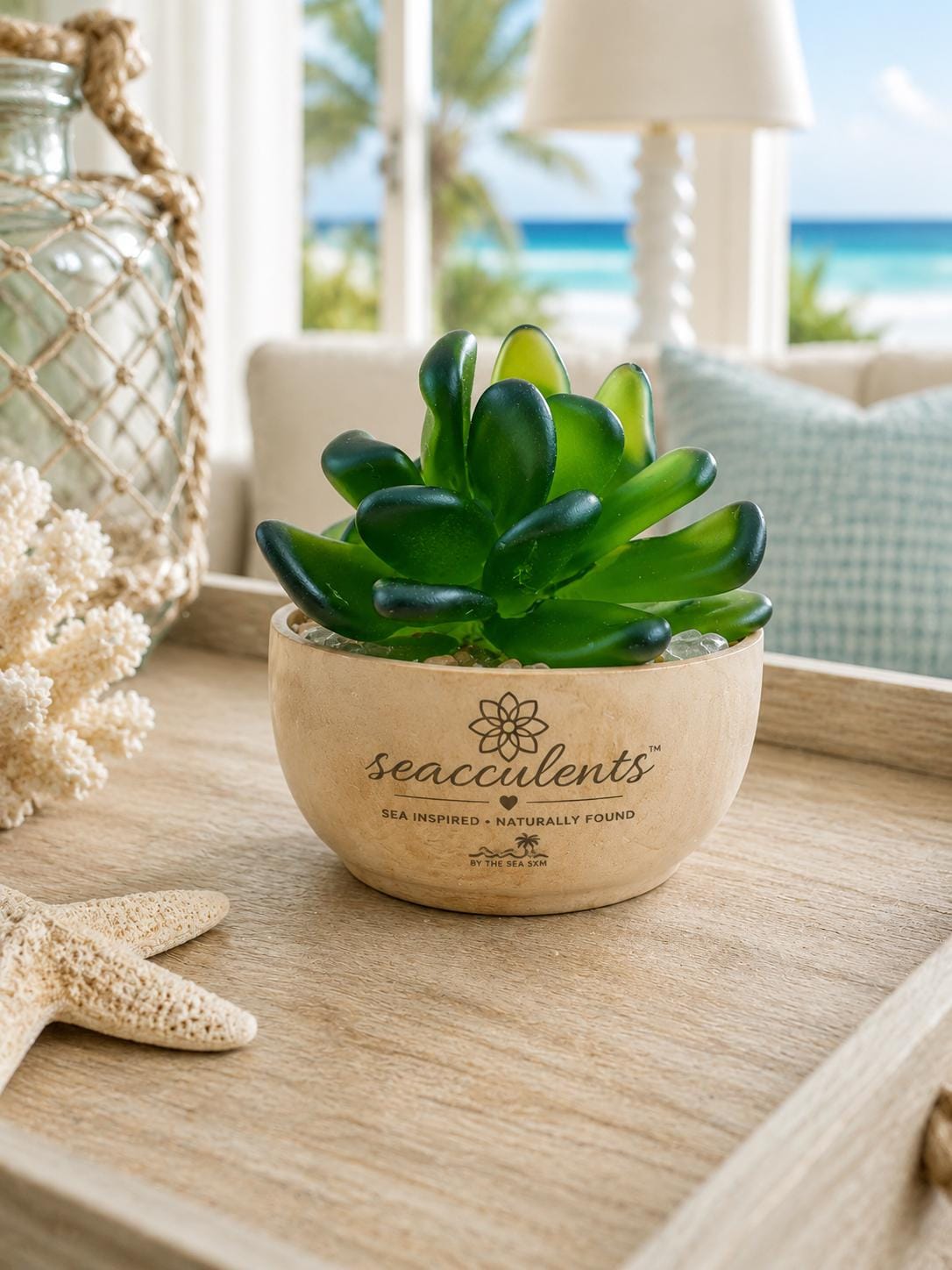 Seacculents™ Authentic Caribbean Sea Glass Succulent in Engraved Wooden Pot | Coastal Desk Decor | Beach House Gift | Saint M