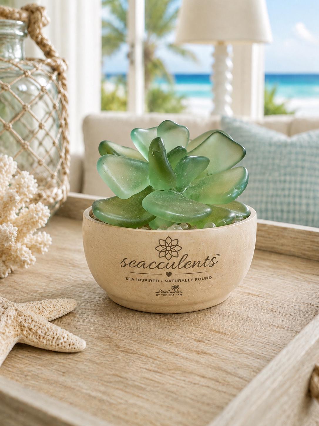 Seacculents™ Authentic Caribbean Sea Glass Succulent in Engraved Wooden Pot | Coastal Desk Decor | Beach House Gift | Saint M