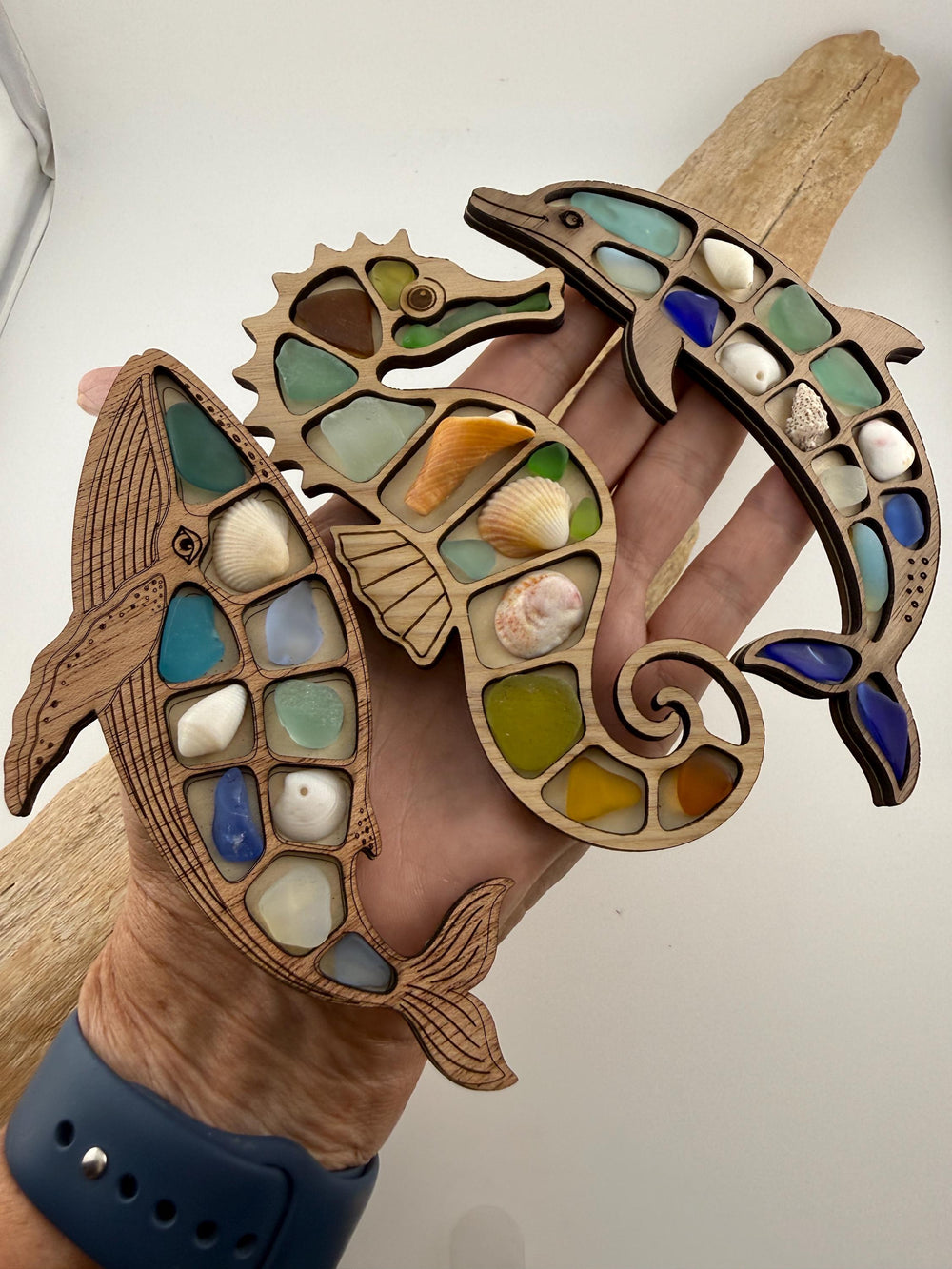 Ocean Curios™ Collection - Genuine Sea Glass Coastal Collectible with Driftwood Display.