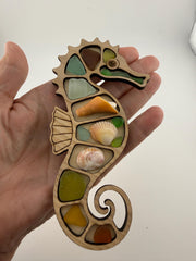Ocean Curios™ Collection - Genuine Sea Glass Coastal Collectible with Driftwood Display.