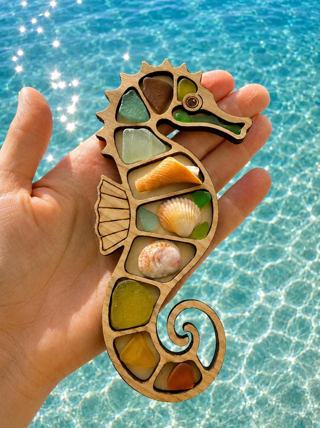 Ocean Curios™ Collection - Genuine Sea Glass Coastal Collectible with Driftwood Display.
