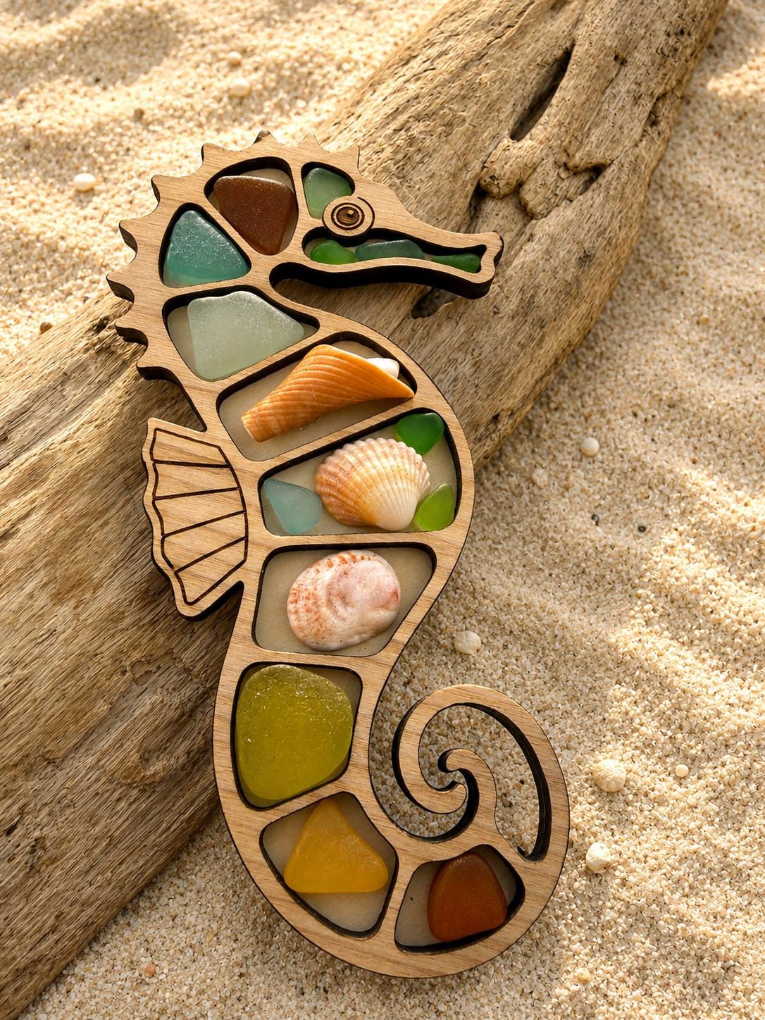 Ocean Curios™ Collection - Genuine Sea Glass Coastal Collectible with Driftwood Display.