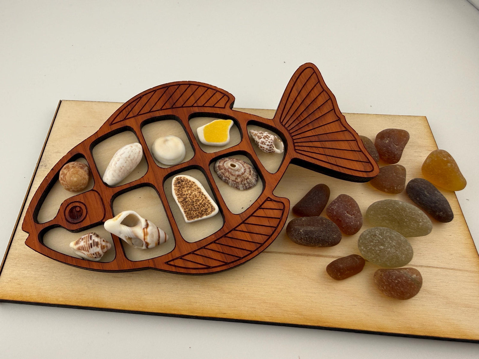 Ocean Treasure Fish™ - Interactive Sea Glass Curio Display - Genuine Caribbean Sea Glass - Coastal Decor Gift